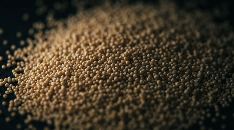 Extreme close-up of fine pale golden yeast granules massed together and catching the light against a near-black background