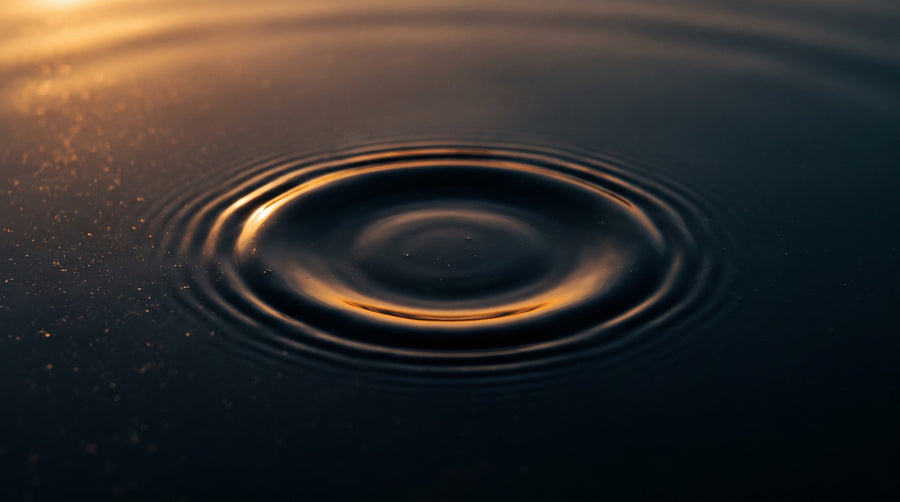 A single ring of ripples spreading across still dark water, the crest of each ripple lit by low warm morning sun