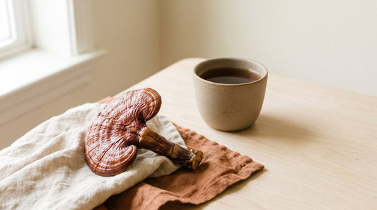 A whole dried reishi mushroom resting on linen beside a stoneware cup of dark tea in soft morning light