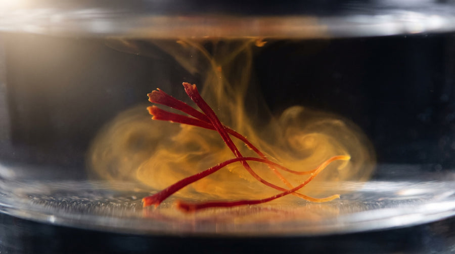 A few crimson saffron threads in clear water releasing a soft golden bloom of colour, against a dark background